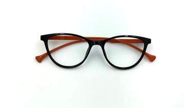 Optical Frame