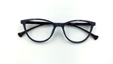 Optical Frame