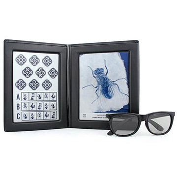 Original Stereo Fly Stereotest