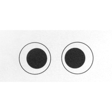 Stereograms – Closed Bucket Card