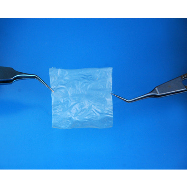 Dry Amniotic Membrane