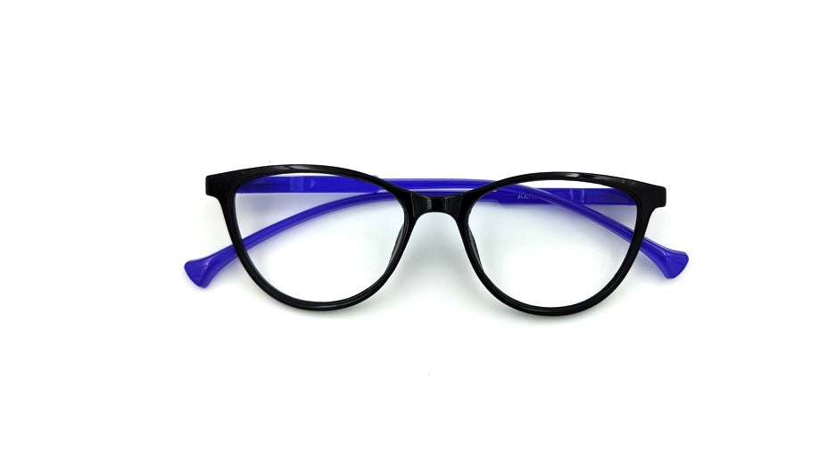 Optical Frame